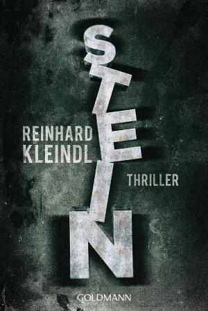 Cover of the book Stein by Gianrico Carofiglio