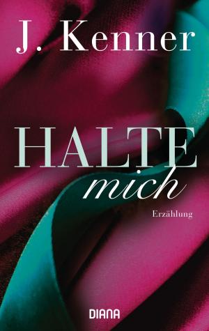 Cover of Halte mich (Stark Friends Novella 3)
