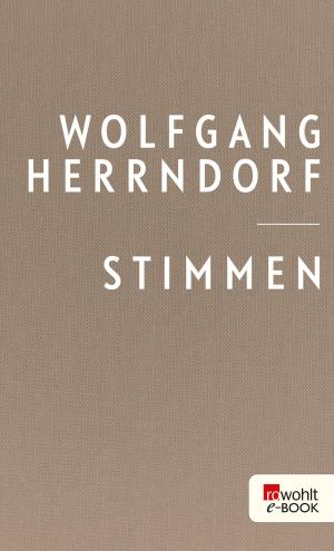 Cover of the book Stimmen by Cornelia Franz