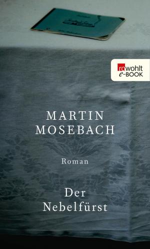Cover of the book Der Nebelfürst by Kathrin Passig, Sascha Lobo