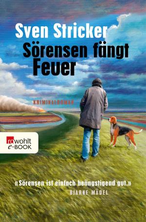 Cover of the book Sörensen fängt Feuer by Paul Auster