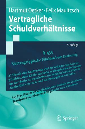 Cover of the book Vertragliche Schuldverhältnisse by Anita Schöbel, Annika Eickhoff-Schachtebeck