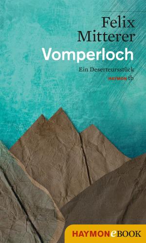 Cover of the book Vomperloch by Jürg Amann