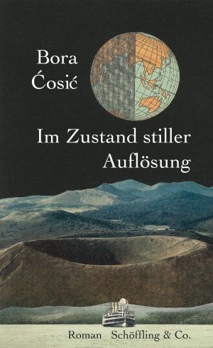 Book cover of Im Zustand stiller Auflösung