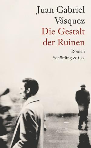 Cover of the book Die Gestalt der Ruinen by Clarice Lispector, Colm Tóibín