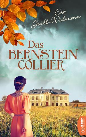 Cover of the book Das Bernsteincollier by Rachel Hore