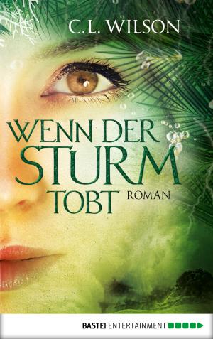 Book cover of Wenn der Sturm tobt