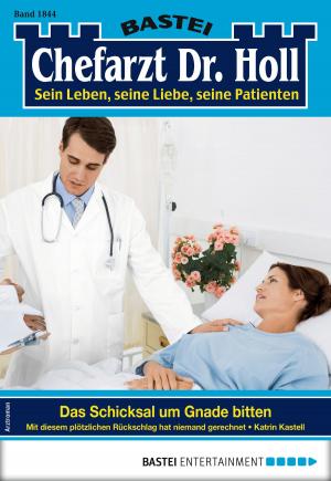 Cover of the book Dr. Holl 1844 - Arztroman by Katja von Seeberg