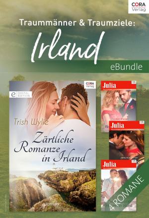 Book cover of Traummänner & Traumziele: Irland