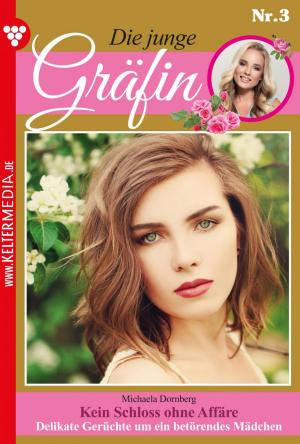 Cover of the book Die junge Gräfin 3 – Adelsroman by Melissa McClone