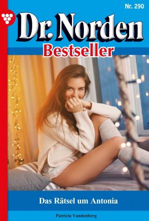bigCover of the book Dr. Norden Bestseller 290 – Arztroman by 