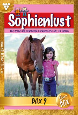 Book cover of Sophienlust Jubiläumsbox 9 – Familienroman