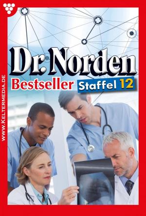 Book cover of Dr. Norden Bestseller Staffel 12 – Arztroman