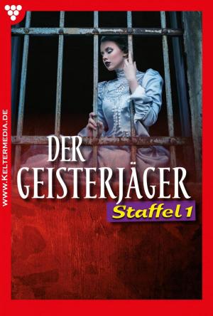 Book cover of Der Geisterjäger Staffel 1 – Gruselroman