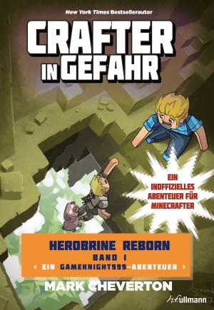 Cover of the book Crafter in Gefahr by Liam O'Donnell