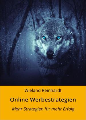 Cover of the book Online Werbestrategien by Jens Wahl