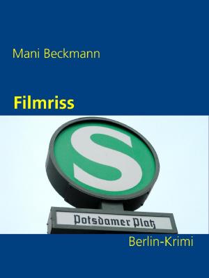 Cover of the book Filmriss by Andre Sternberg