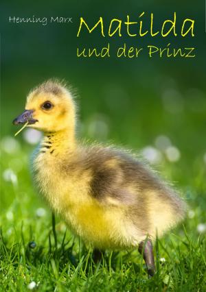 Cover of the book Matilda und der Prinz by Monika Bonanno
