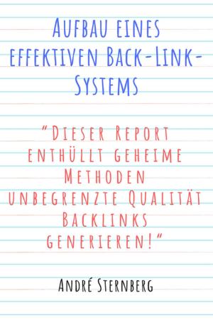 Cover of the book Aufbau eines effektiven Back-Link-Systems by Barni Bigman