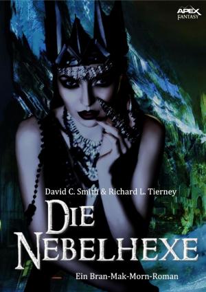 Book cover of DIE NEBELHEXE - Ein BRAN MAK MORN-Roman