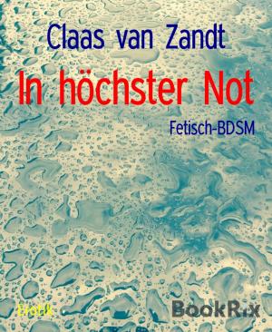 Cover of the book In höchster Not by Natalie Cuddington