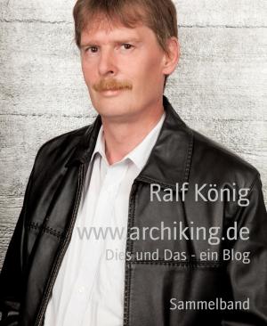 Cover of the book www.archiking.de by Mattis Lundqvist