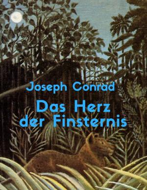 Cover of the book Das Herz der Finsternis by Jutta Schütz