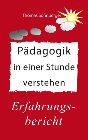 Cover of the book Pädagogik in einer Stunde verstehen by Uwe Stahl