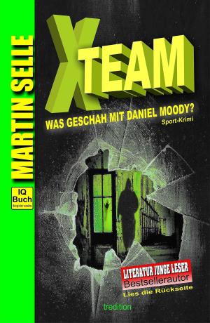 Book cover of X-TEAM - Was geschah mit Daniel Moody?