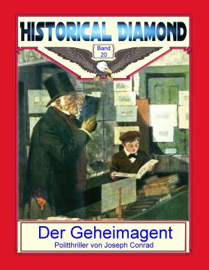 Cover of the book Der Geheimagent by Peter Felix Schäfer