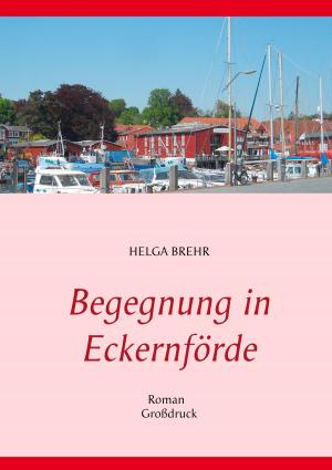 Cover of the book Begegnung in Eckernförde by André Sternberg