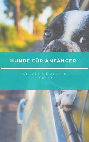 Book cover of Hunde für Anfänger