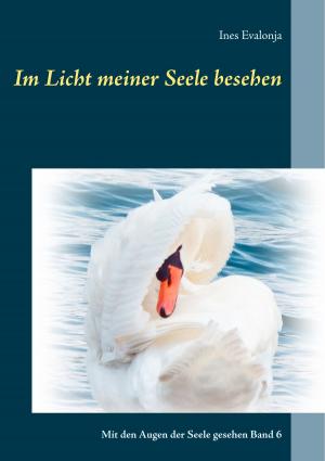 Cover of the book Im Licht meiner Seele besehen by Odin Milan Stiura