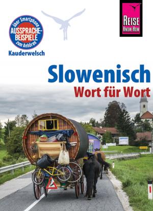 Cover of the book Slowenisch - Wort für Wort by 王偉安．墨刻編輯部