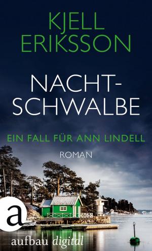 Cover of the book Nachtschwalbe by Anna Seghers, Gunnar Decker, Christina Salmen