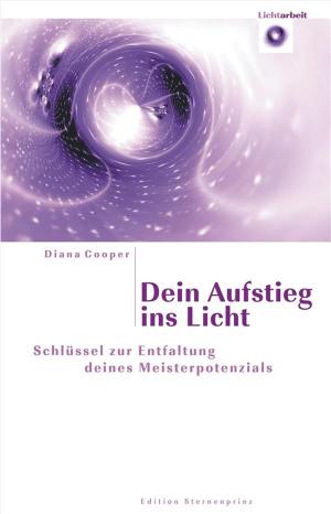 Cover of the book Dein Aufstieg ins Licht by 布萊恩．克拉克(Brian Clark)