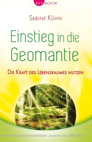 Cover of the book Einstieg in die Geomantie by Olivia Moogk