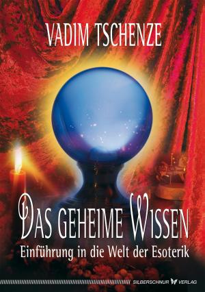 Cover of the book Das geheime Wissen by Kurt Tepperwein