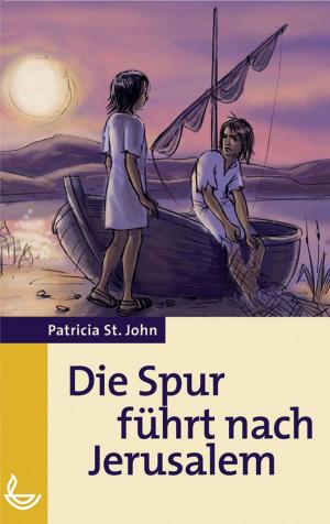 Cover of the book Die Spur führt nach Jerusalem by Archbishop Dr. Prince Daniels