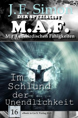 Cover of the book Im Schlund der Unendlichkeit by Jens Fitscher