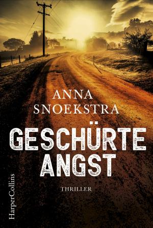 Book cover of Geschürte Angst