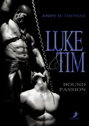Cover of the book Luke & Tim - Bound Passion by Felice Stevens