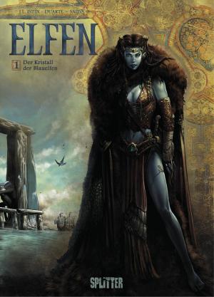 Cover of the book Der Kristall der Blauelfen by Andy Diggle