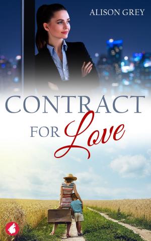 Book cover of Contract for Love
