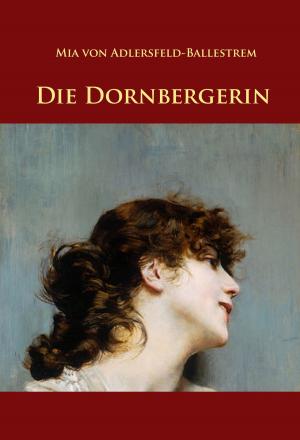 Cover of the book Die Dornbergerin by Carla E. Anderton