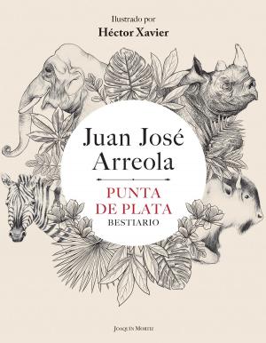 Cover of the book Punta de plata by Francisco Ortega