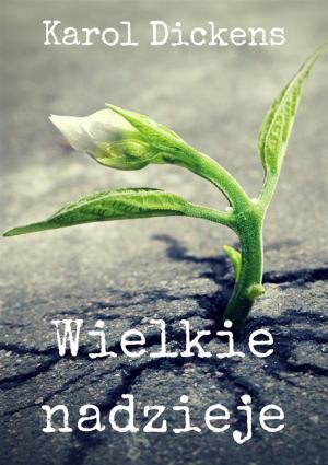 Cover of the book Wielkie nadzieje by Jonathan Gray