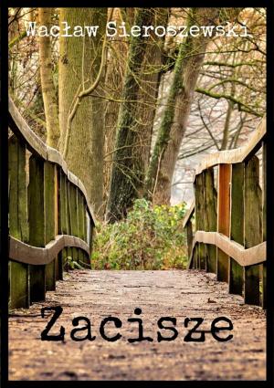 Cover of the book Zacisze by Diana Sara Hołubiczko
