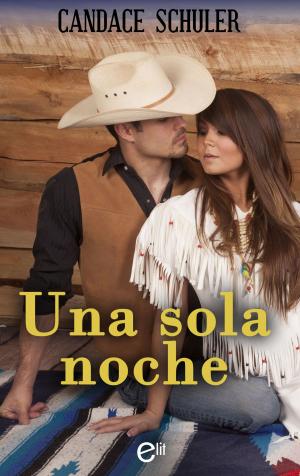 Cover of the book Una sola noche by María De Castro