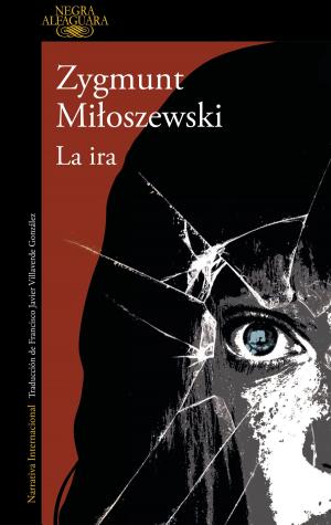 Book cover of La ira (Un caso del fiscal Szacki 3)